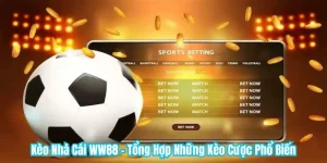 Kèo Nhà Cái WW88 - Tổng Hợp Những Kèo Cược Phổ Biến